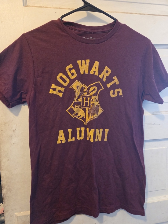 Warner Bros. Other - Warner Bros. Hogwarts Alumni Short Sleeve Tee in Maroon and Yellow